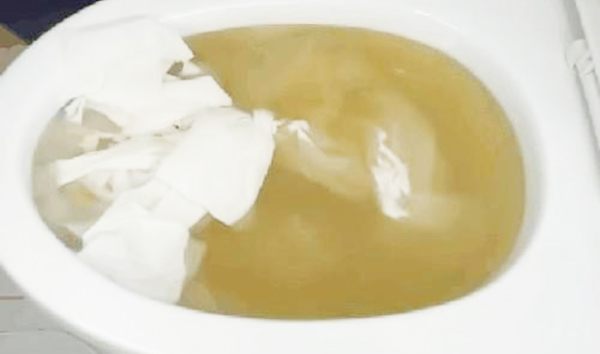 Cách xử lý bồn cầu dội nước không trôi hiệu quả 3 cách xử lý bồn cầu dội nước không trôi