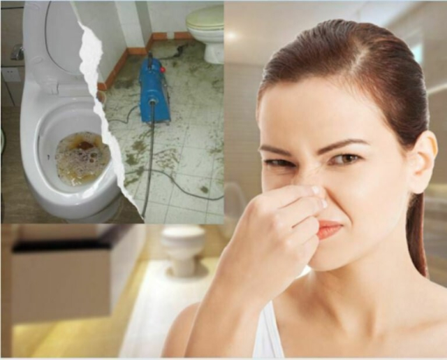 Mùi hôi khó chịu